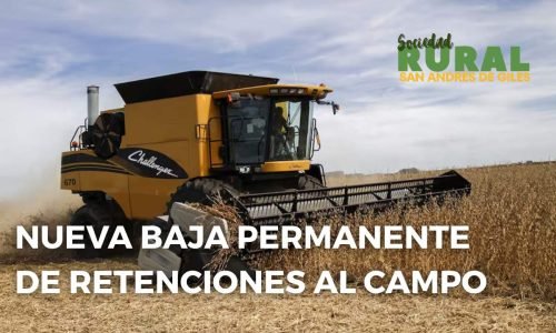 Blog Banner for Website Content