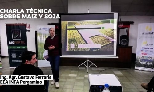 Nutrición y manejo del maíz: claves para maximizar el rendimiento - Ing. Agr. Gustavo Ferraris